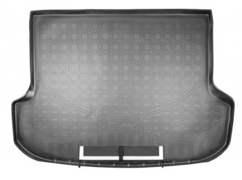Коврик в багажник Norplast Lexus RX  200T - RX350  AL20 (Черный с фартуком)