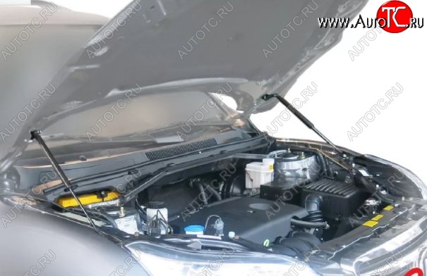 2 149 р. Газовые упоры капота Berkut Lifan X60 1-ый рестайлинг (2015-2016)  с доставкой в г. Майкоп