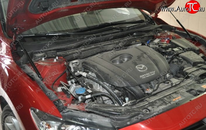 2 199 р. Газовые упоры капота Berkut Mazda 6 GJ дорестайлинг седан (2012-2015)  с доставкой в г. Майкоп
