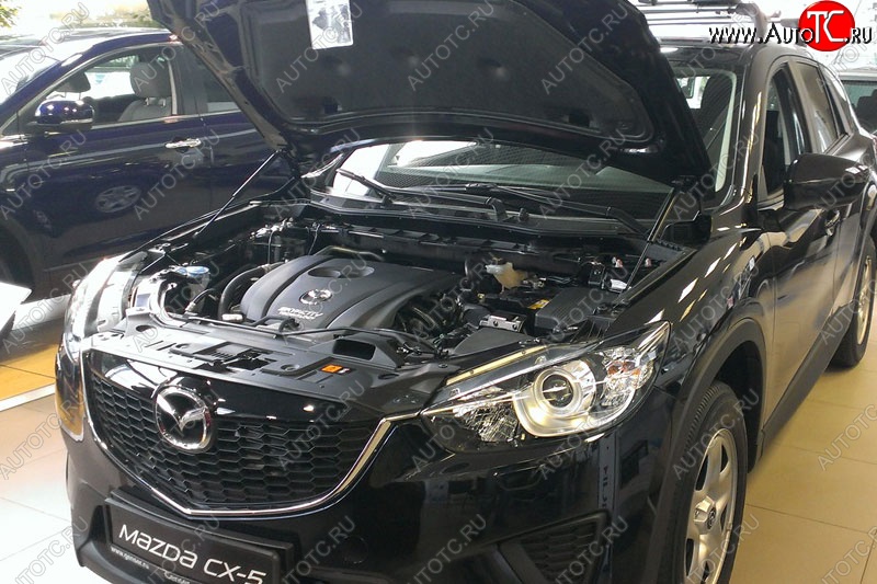 2 199 р. Газовые упоры капота Berkut Mazda CX-5 KE дорестайлинг (2011-2014)  с доставкой в г. Майкоп