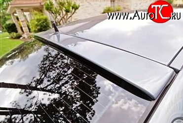 5 949 р. Козырёк на заднее стекло AMG дорестайл Mercedes-Benz CLS class C219 (2004-2011) (Неокрашенный)  с доставкой в г. Майкоп