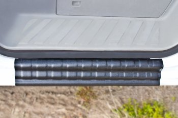 1 679 р. Накладка на внутренние пороги дверей RA Mercedes-Benz Sprinter W906 (2006-2013)  с доставкой в г. Майкоп. Увеличить фотографию 3