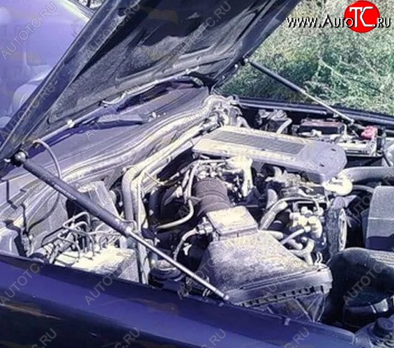 2 199 р. Газовые упоры капота Berkut Mitsubishi Pajero 3 V70 дорестайлинг (1999-2003)  с доставкой в г. Майкоп