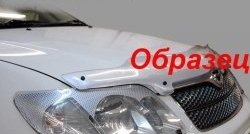 2 159 р. Защита фар CA-Plastik  Mitsubishi Pajero Sport  PB (2008-2013) дорестайлинг (Цвет: прозрачный)  с доставкой в г. Майкоп. Увеличить фотографию 6