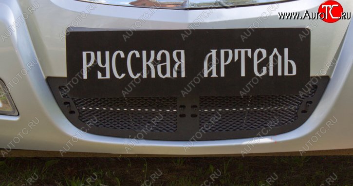 1 799 р. Защитная сетка решетки переднего бампера РА Nissan Almera Classic седан B10 (2006-2013)  с доставкой в г. Майкоп