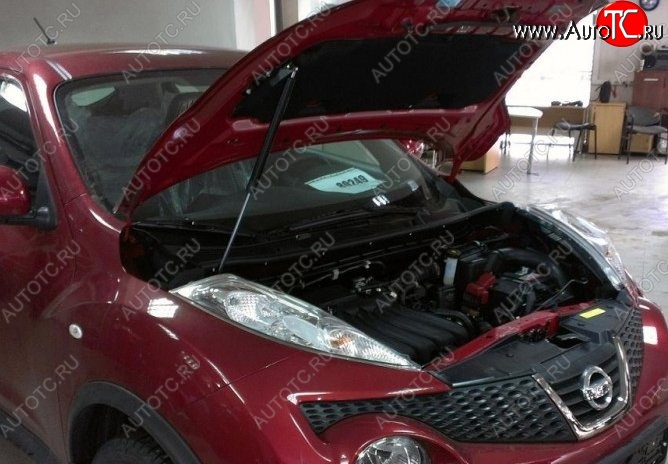 2 199 р. Газовый упор капота Berkut Nissan Juke 1 YF15 дорестайлинг (2010-2014)  с доставкой в г. Майкоп