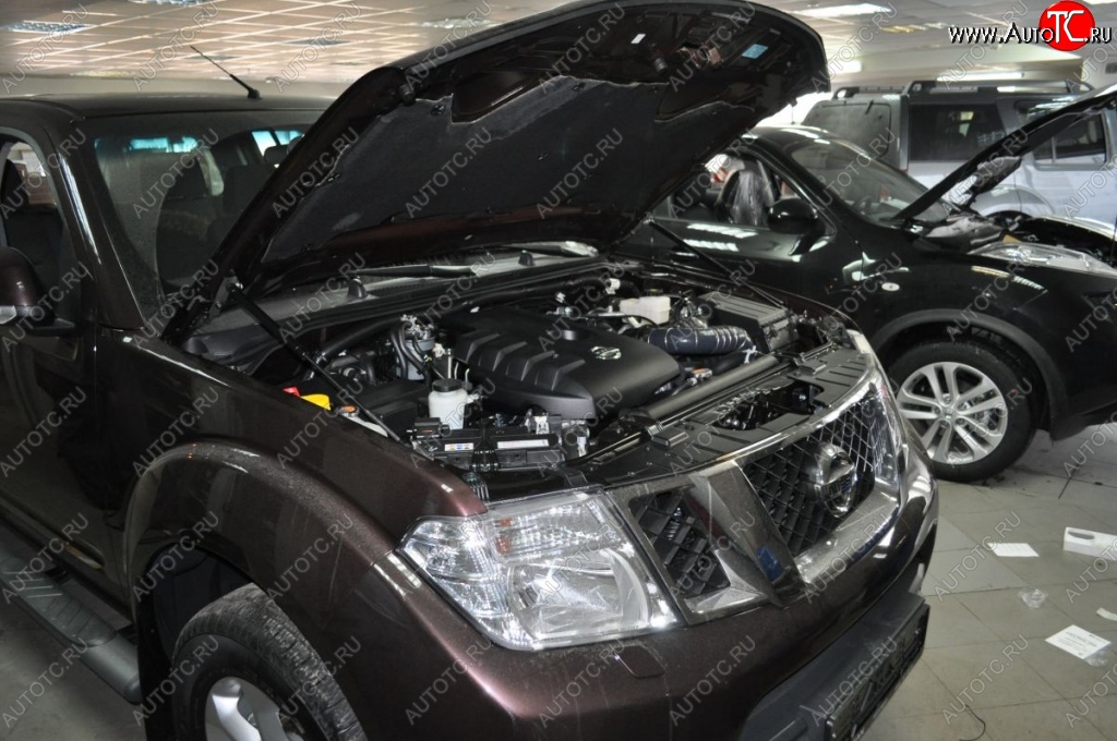 2 199 р. Газовые упоры капота Berkut Nissan Navara 2 D40 дорестайлинг (2004-2010)  с доставкой в г. Майкоп