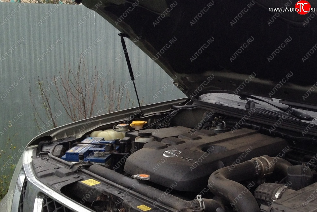1 699 р. Газовые упоры капота Berkut Nissan Pathfinder R51 рестайлинг (2009-2014)  с доставкой в г. Майкоп