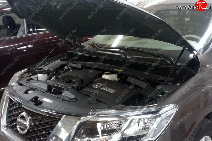 2 199 р. Газовые упоры капота Berkut Nissan Pathfinder R52 дорестайлинг (2012-2017)  с доставкой в г. Майкоп