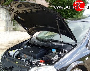 2 969 р. Упор капота Sport  Nissan Primera ( 3 седан,  3 универсал) (2001-2008) P12 (с кронштейном)  с доставкой в г. Майкоп