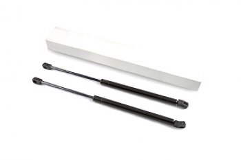 Упоры капота Arbori (2 шт) Nissan Qashqai 2 J11 дорестайлинг (2013-2019)