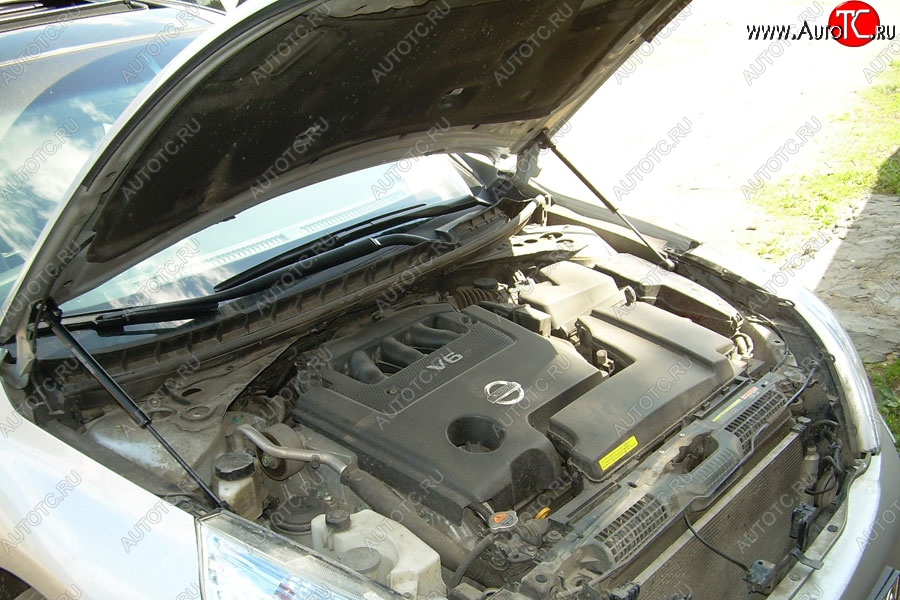 2 199 р. Газовые упоры капота Berkut Nissan Teana 2 J32 дорестайлинг (2008-2011)  с доставкой в г. Майкоп
