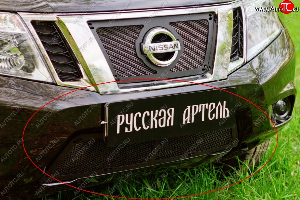 2 279 р. Защитная сетка решетки переднего бампера РА Nissan Terrano D10 рестайлинг (2016-2022)  с доставкой в г. Майкоп