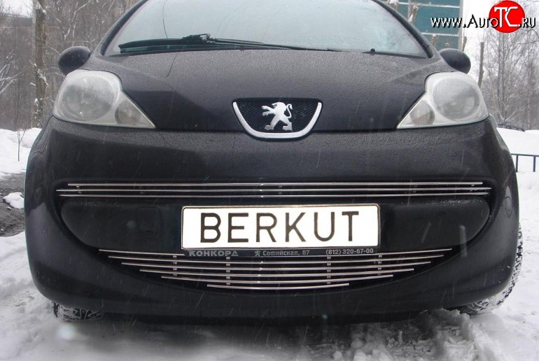 7 799 р. Декоративная вставка воздухозаборника Berkut Peugeot 107 PN хэтчбэк 3 дв. дорестайлинг (2005-2009)  с доставкой в г. Майкоп