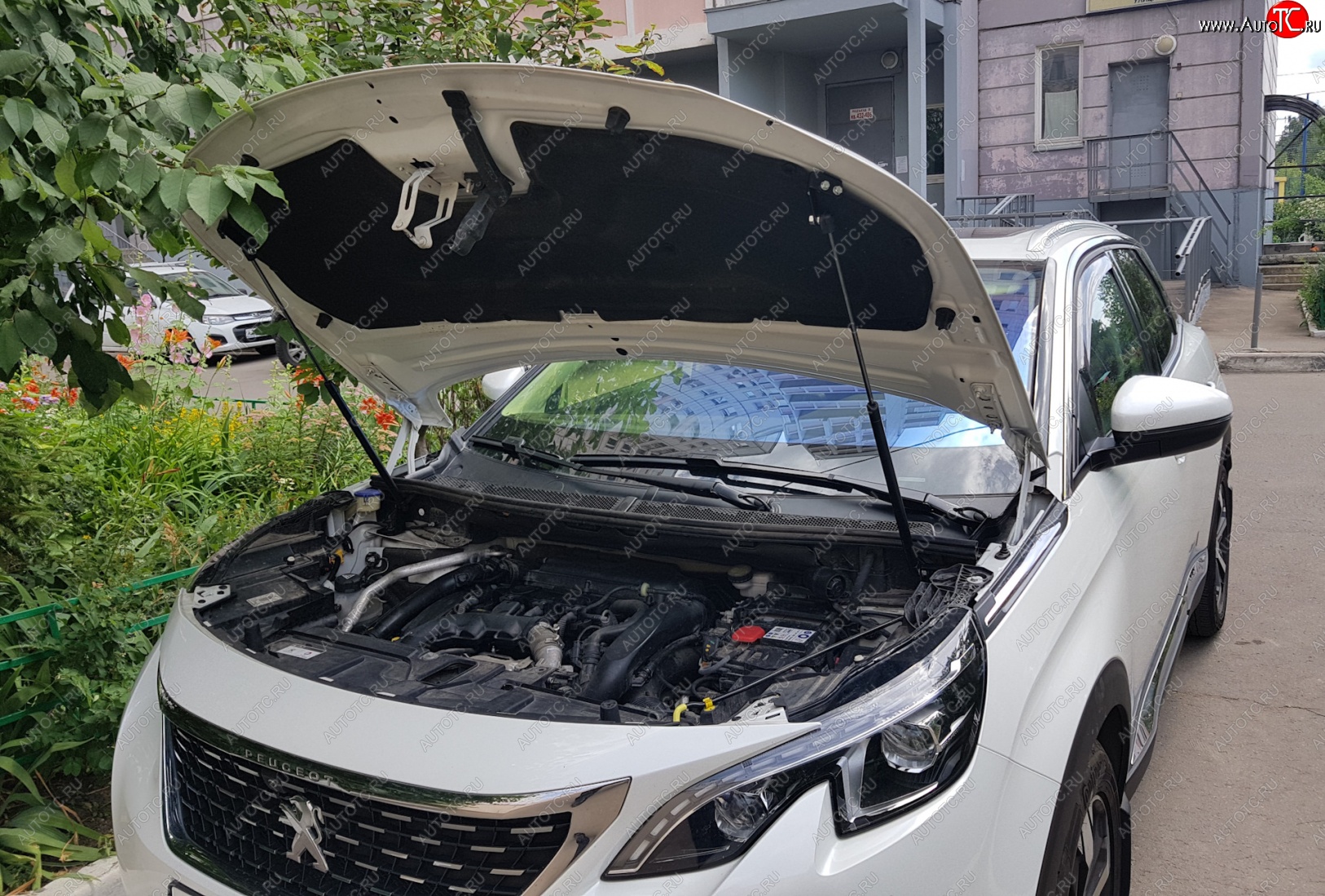2 799 р. Упоры капота Russtal Peugeot 3008 2 (2016-2025)  с доставкой в г. Майкоп