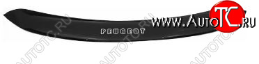 1 179 р. Дефлектор капота REIN (ЕВРО крепеж) Peugeot 3008 дорестайлинг (2009-2013)  с доставкой в г. Майкоп