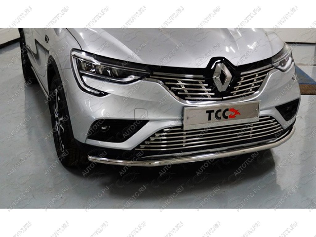 6 549 р. Нижняя декоративная вставка в бампер ТСС Тюнинг  Renault Arkana (2019-2025) (d 12 мм)  с доставкой в г. Майкоп