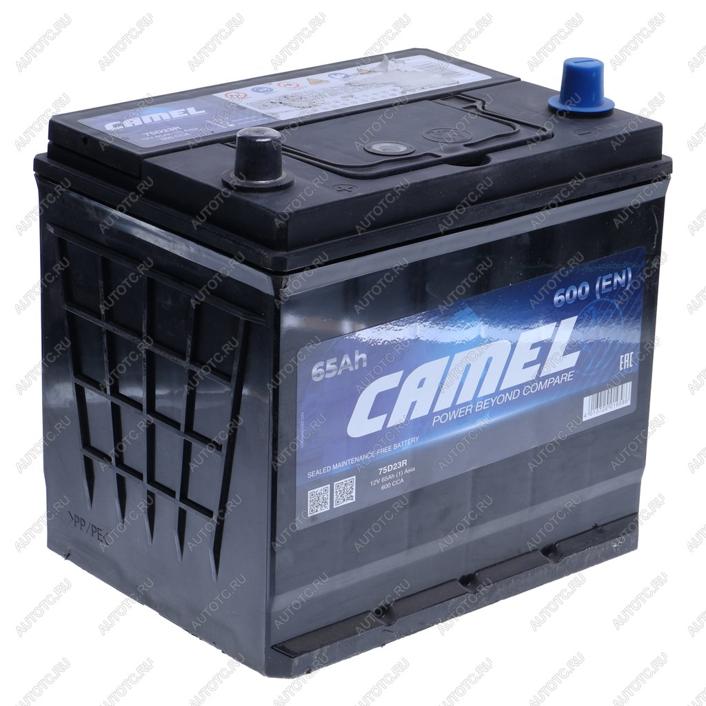 8 249 р. Аккумулятор CAMEL Asia 65Ач CAMEL 6ст65(1) 75d23r  с доставкой в г. Майкоп