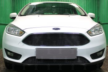 Защитная сетка в бампер (низ, ячейка 3х7 мм) Alfeco Стандарт Ford Focus 3 хэтчбэк рестайлинг (2014-2019) (Чёрная)