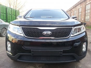 Защитная сетка в бампер (середина, ячейка 3х7 мм) Alfeco Стандарт KIA Sorento XM рестайлинг (2012-2015) (Чёрная)