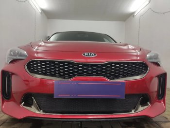 Защитная сетка в бампер (низ, ячейка 3х7 мм) Alfeco Стандарт KIA Stinger (2017-2025) (Чёрная)