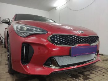 3 489 р. Защитная сетка в бампер (низ, ячейка 3х7 мм) Alfeco Стандарт KIA Stinger (2017-2025) (Хром)  с доставкой в г. Майкоп. Увеличить фотографию 3