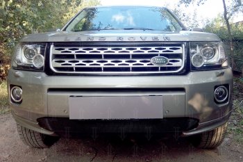 Защитная сетка в бампер (бензин, низ, ячейка 3х7 мм) Alfeco Стандарт Land Rover Freelander L359 1-ый рестайлинг (2010-2012) (Чёрная)