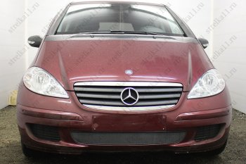 Защитная сетка в бампер (низ, ячейка 3х7 мм) Alfeco Стандарт Mercedes-Benz A class W169 дорестайлинг, хэтчбэк 5 дв. (2005-2008) (Чёрная)