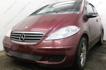 3 079 р. Защитная сетка в бампер (низ, ячейка 3х7 мм) Alfeco Стандарт Mercedes-Benz A class W169 дорестайлинг, хэтчбэк 5 дв. (2005-2008) (Чёрная)  с доставкой в г. Майкоп. Увеличить фотографию 2