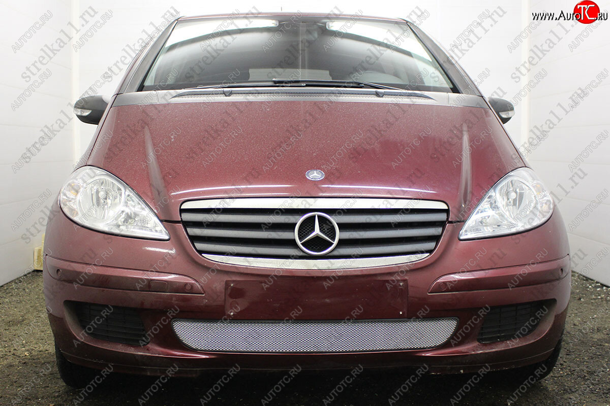 3 099 р. Защитная сетка в бампер (низ, ячейка 3х7 мм) Alfeco Стандарт Mercedes-Benz A class W169 дорестайлинг, хэтчбэк 5 дв. (2005-2008) (Хром)  с доставкой в г. Майкоп