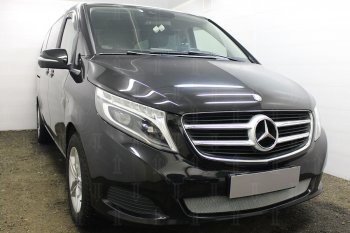 3 099 р. Защитная сетка в бампер (низ, ячейка 3х7 мм) Alfeco Стандарт Mercedes-Benz Vito W447 дорестайлинг (2015-2020) (Хром)  с доставкой в г. Майкоп. Увеличить фотографию 2