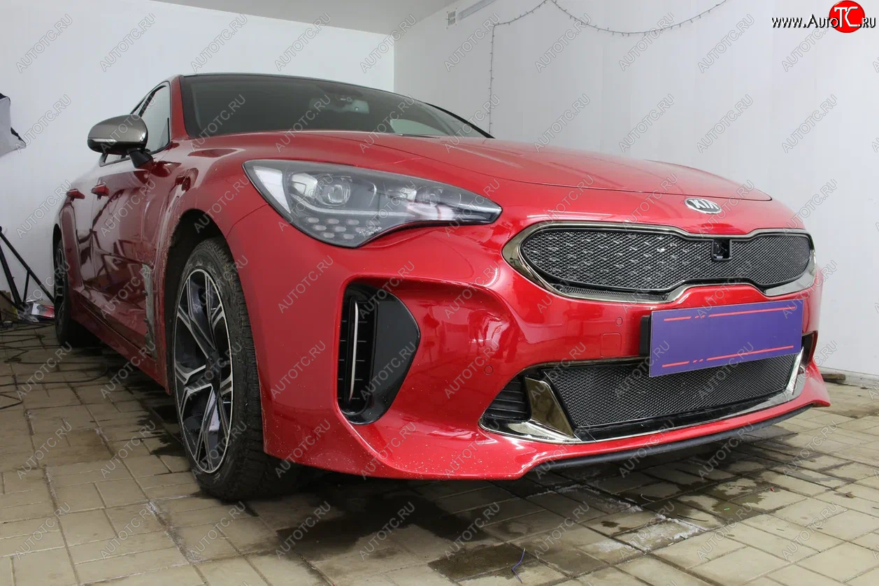 6 249 р. Защитная сетка в бампер (верх, ячейка 4х10 мм) Alfeco Премиум KIA Stinger (2017-2025) (Чёрная)  с доставкой в г. Майкоп