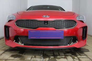 Защитная сетка в бампер (низ, ячейка 4х10 мм) Alfeco Премиум KIA Stinger (2017-2025) (Чёрная)