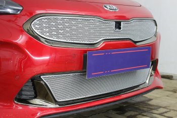 4 299 р. Защитная сетка в бампер (низ, ячейка 4х10 мм) Alfeco Премиум KIA Stinger (2017-2025) (Хром)  с доставкой в г. Майкоп. Увеличить фотографию 4