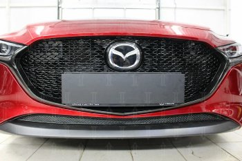 Защитная сетка в бампер (низ, ячейка 4х10 мм) Alfeco Премиум Mazda 3/Axela BP хэтчбэк (2019-2025) (Чёрная)