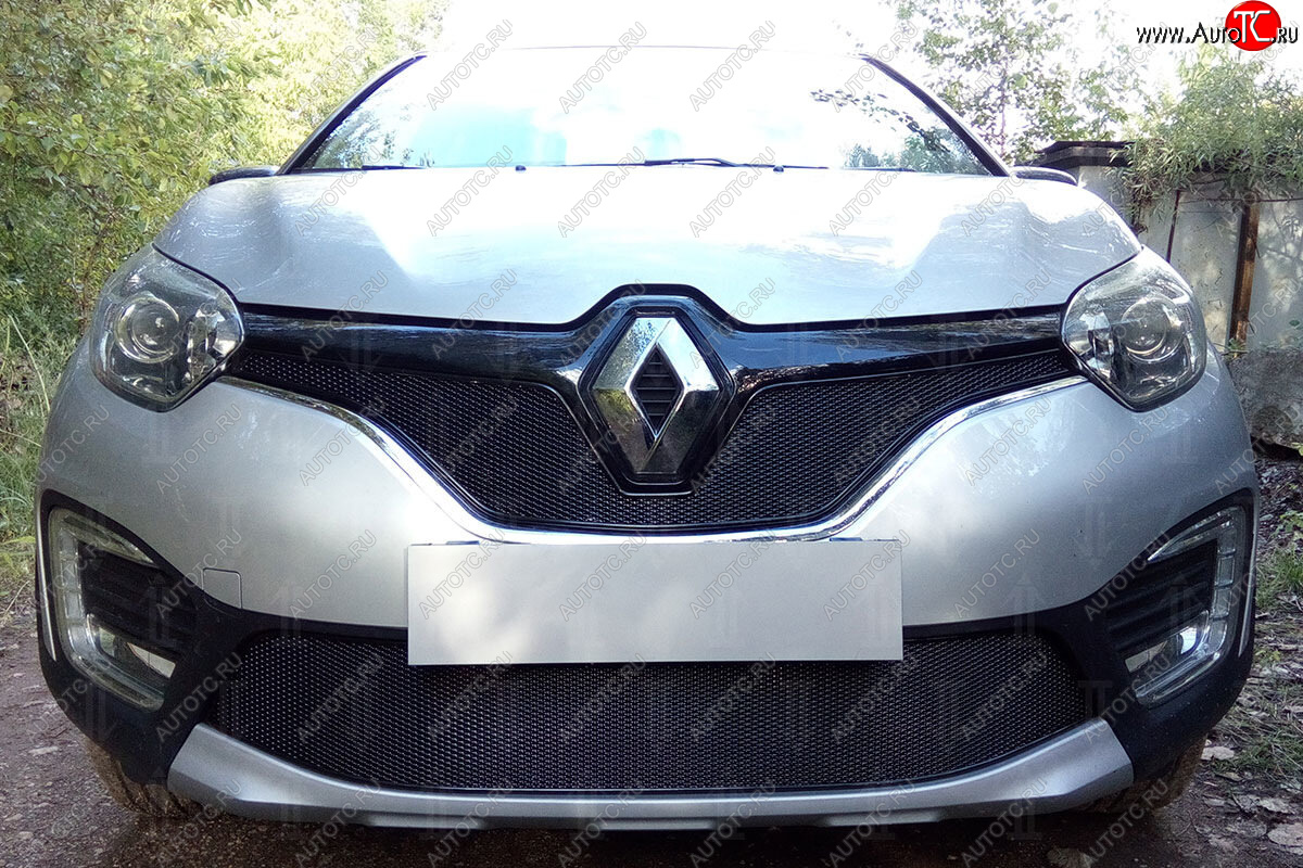 4 649 р. Защитная сетка в бампер (низ, ячейка 4х10 мм) Стрелка11 Премиум Renault Kaptur дорестайлинг (2016-2020) (Чёрная)  с доставкой в г. Майкоп