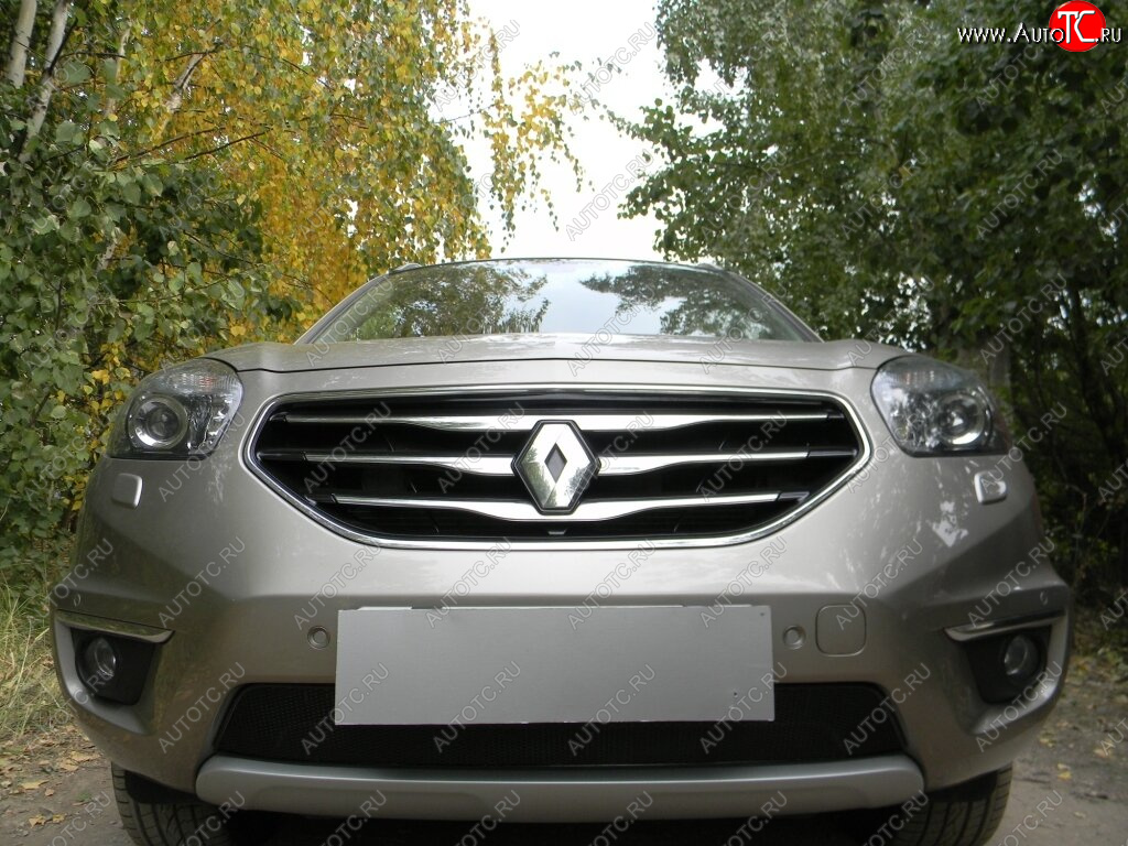 4 299 р. Защитная сетка в бампер (низ, ячейка 4х10 мм) Стрелка11 Премиум Renault Koleos 1 Phase 3 (2013-2016) (Чёрная)  с доставкой в г. Майкоп