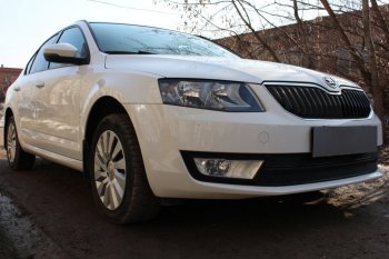 6 999 р. Защитная сетка в бампер (низ, 2 части, компл.Ambition,Elegance,Style, ячейка 4х10 мм) Стрелка11 Премиум Skoda Octavia A7 дорестайлинг лифтбэк (2012-2017) (Чёрная)  с доставкой в г. Майкоп. Увеличить фотографию 2
