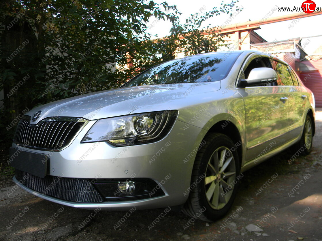 4 649 р. Защитная сетка в бампер (низ, ячейка 4х10 мм) Стрелка11 Премиум Skoda Superb (B6) 3T лифтбэк рестайлинг (2013-2015) (Чёрная)  с доставкой в г. Майкоп