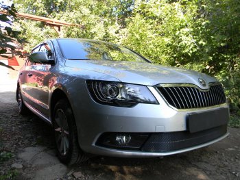 4 649 р. Защитная сетка в бампер (низ, ячейка 4х10 мм) Стрелка11 Премиум Skoda Superb (B6) 3T лифтбэк рестайлинг (2013-2015) (Чёрная)  с доставкой в г. Майкоп. Увеличить фотографию 3
