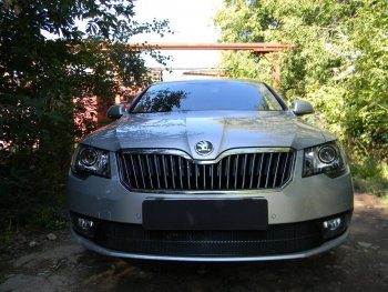 4 649 р. Защитная сетка в бампер (низ, ячейка 4х10 мм) Стрелка11 Премиум Skoda Superb (B6) 3T лифтбэк рестайлинг (2013-2015) (Чёрная)  с доставкой в г. Майкоп. Увеличить фотографию 2