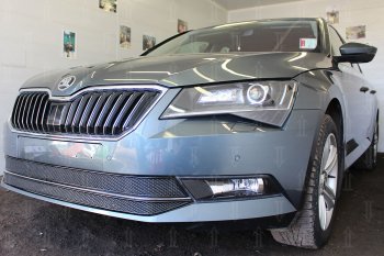 6 749 р. Защитная сетка в бампер (низ, 2 части, ячейка 4х10 мм) Стрелка11 Премиум Skoda Superb B8 (3V5) универсал дорестайлинг (2015-2019) (Чёрная)  с доставкой в г. Майкоп. Увеличить фотографию 2