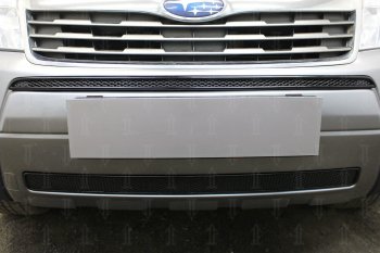 Защитная сетка в бампер (середина, ячейка 4х10 мм) Стрелка11 Премиум Subaru Forester SH (2008-2013) (Чёрная)