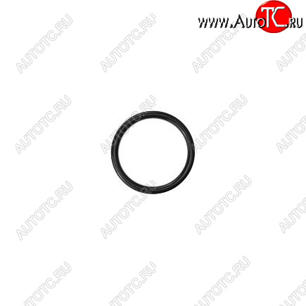 100 р. Кольцо уплотнительное QSM, ISM, M11 3035026 CUMMINS 13462  с доставкой в г. Майкоп