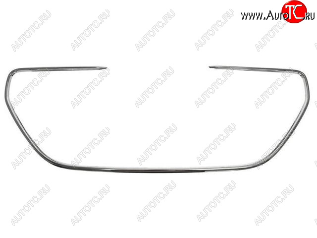 3 399 р. 301 МОЛДИНГ РЕШЕТКИ РАДИАТОРА (Китай) BODYPARTS pg30113-120  с доставкой в г. Майкоп