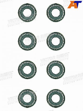 559 р. Комплект маслосъёмных колпачков  BMW 5(E34)3(E46) M43B16 VICTOR REINZ 12-26058-02  с доставкой в г. Майкоп. Увеличить фотографию 1