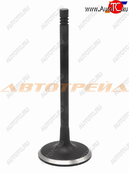 419 р. Клапан впускной (1 шт) CHEVROLET AVEOLACETTIDAEWOO GENTRANUBIRA 1,4 03- SHINHAN 25182287  с доставкой в г. Майкоп