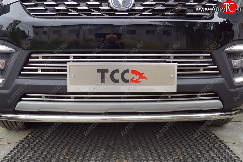 3 299 р. Декоративная вставка переднего бампера (2WD 1.5T) ТСС Тюнинг  Changan CS55 (2018-2025) рестайлинг (d 12 мм)  с доставкой в г. Майкоп