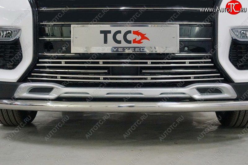 5 599 р. Нижняя декоративная вставка в бампер ТСС Тюнинг  EXEED TXL (2020-2021)  дорестайлинг (d 12 мм)  с доставкой в г. Майкоп