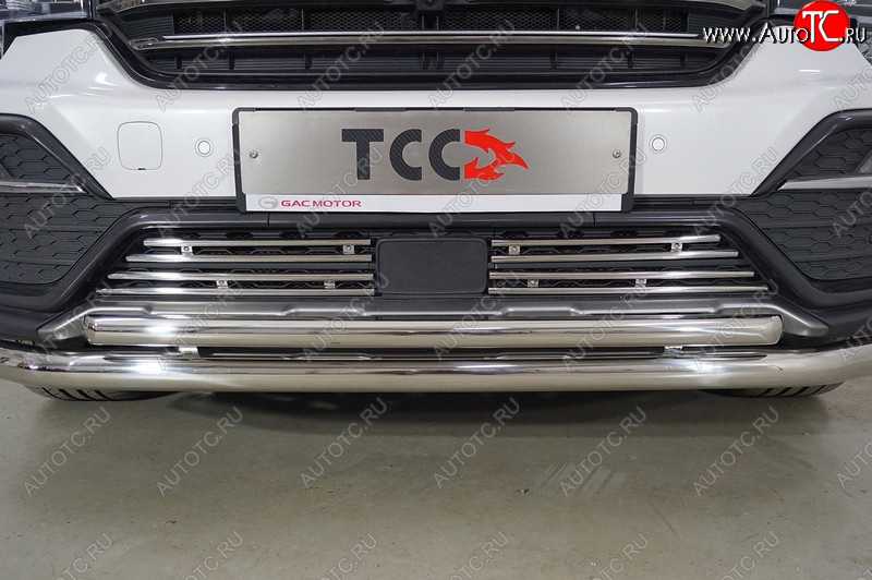 3 699 р. Декоративная вставка переднего бампера ТСС Тюнинг  GAC GS8 (2016-2023) (d 12 мм)  с доставкой в г. Майкоп